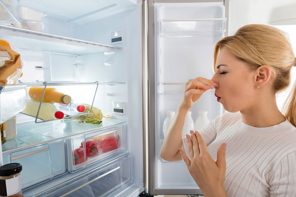 Убрать запах протухшего мяса в холодильнике