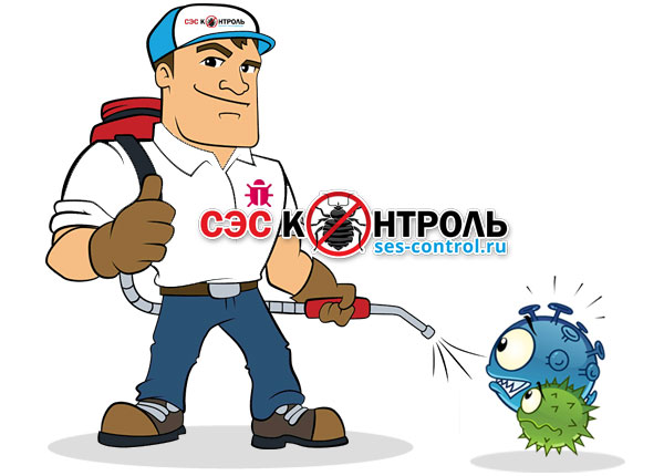 Дезинфекция от вирусов в СПб